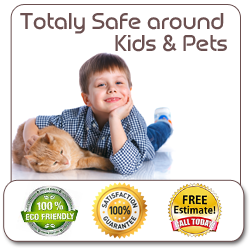 Safe For Pets and Kids
