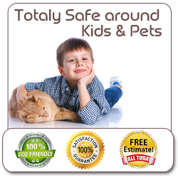 Affordable Services Safe For Pets and Kids
